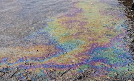 МЗС Молдови передало російському послу пляшку води із забрудненого Дністра