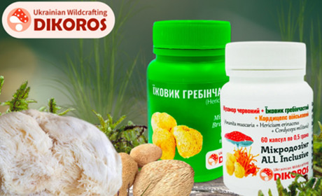 Чи допомагає мікродозинг грибів боротися з залежністю?