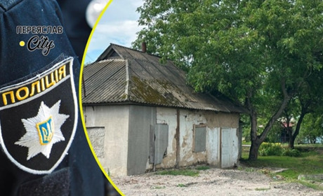 Переяславська активістка Галина Дудар заявила про зрізаний горіх у чужому дворі: хроніка поліції