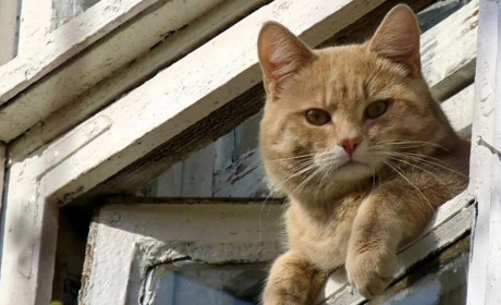 Погода на лівобережжі Херсонщини з 20 по 22 березня: прогноз Українського гідрометеоцентру