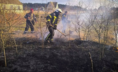 На Фастівщині за день сталося кілька пожеж сухостою