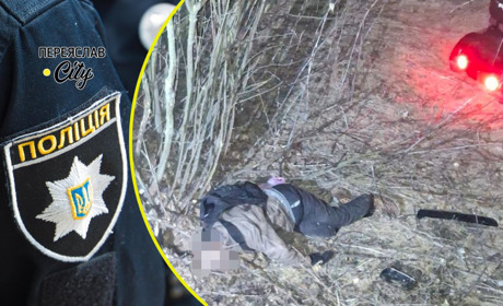 У кюветі між селами Дівички та Ковалин виявили померлого чоловіка з електроскутером: хроніка поліції