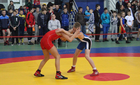 10 років тому: як у Городку проходив масштабний турнір із вільної боротьби