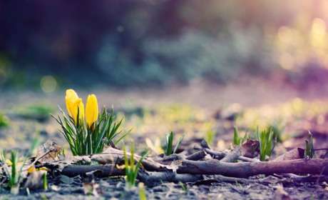 Погода у Гадячі на тиждень: коли чекати дощів та потепління до +15 градусів