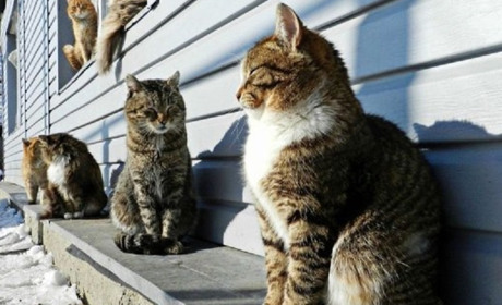 Погода на лівобережжі Херсонщини з 23 по 26 березня: прогноз Українського гідрометеоцентру