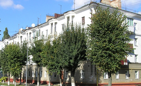 Зелені насадження як елемент захисту: у Шостці обмежать видалення дерев до кінця війни