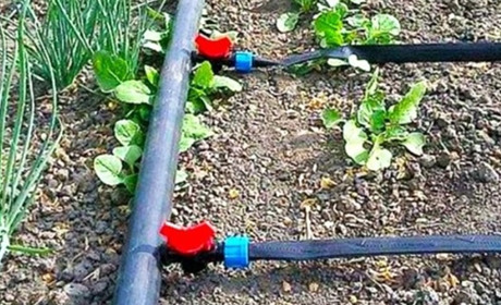 Фітинги для крапельної стрічки: надійні деталі для вашого автополиву