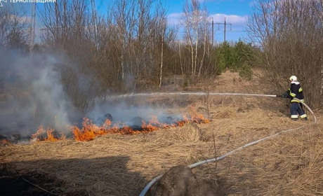 Три пожежі за день на Кременеччині