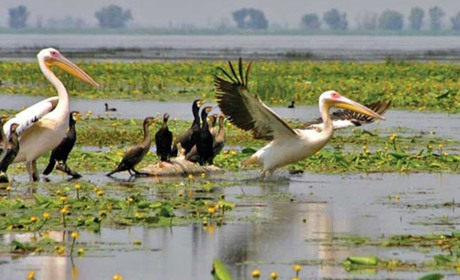У Біляївській громаді стартують два проєкти з відновлення річки Турунчук та озера Біле