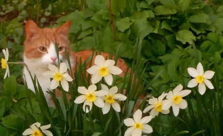 Погода на лівобережжі Херсонщини з 27 по 29 березня: прогноз Українського гідрометеоцентру