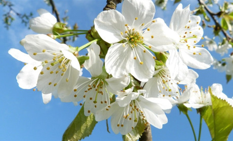 Що чекати українцям у квітні 2026: мобілізація, пенсії, документообіг, нові умови перебування в ЄС