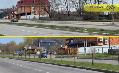 Куди поділися декоративні верби з вулиці Покровської у Переяславі?