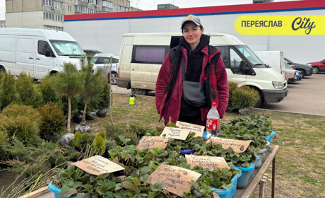 На базарі у Переяславі саджанці капусти за рік подорожчали на 10 гривень, а полуниця подешевшала