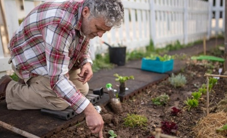 Місячний посівний календар на квітень 2026 року: що і коли садити