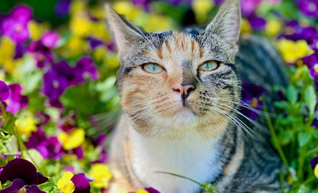 Погода на лівобережжі Херсонщини з 30 березня по 1 квітня: прогноз Українського гідрометеоцентру