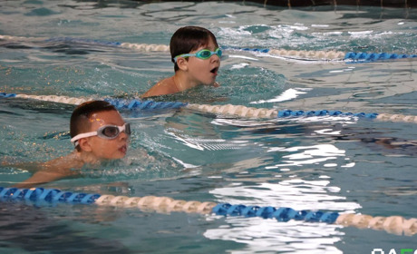 «Золото» залишається вдома: «Олімп» прийняв юних плавців та вшанував пам’ять родини Свінтицьких