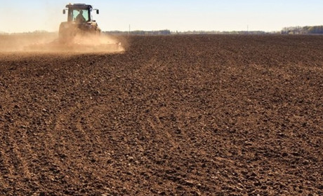 Аграрії Шосткинщини розпочинають весну в умовах кризових цін та обстрілів