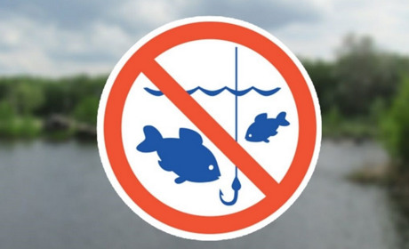 З 1 квітня на Київщині діє нерестова заборона: що потрібно знати рибалкам