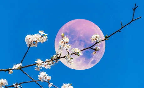 Місячний календар на квітень 2026: сприятливі та несприятливі дні