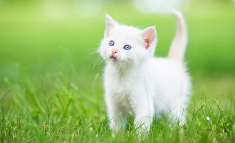 Погода на лівобережжі Херсонщини з 2 по 4 квітня: прогноз Українського гідрометеоцентру