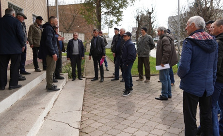 Бджоли проти пестицидів: на Городоччині пасічники та аграрії шукають компроміс