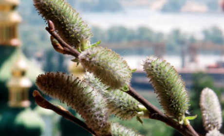 Прогноз погоди на 3-7 квітня