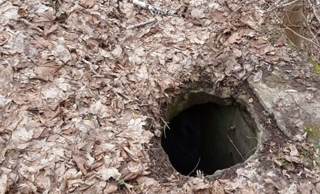 У кременецькому ботанічному саду — приховані пастки: відвідувачів закликають бути обережними