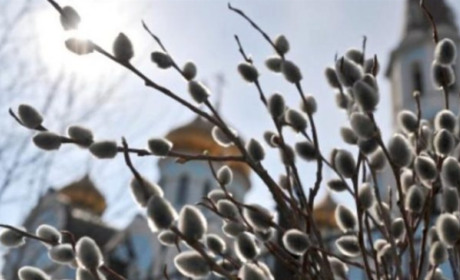 Вербна неділя 2026: дата святкування, головні звичаї та церковні заборони