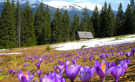 В Україні розпочався «сезон тиші»: що заборонено