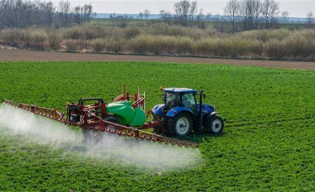 На Переяславщині оброблятимуть поля: просять власників пасік подбати про безпеку бджіл