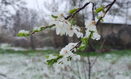 Яку погоду чекати на Великодньому тижні