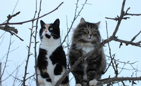 Погода на лівобережжі Херсонщини з 8 по 10 квітня: прогноз Українського гідрометеоцентру