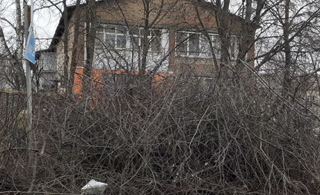 У Глухові пояснили, чому обрізане гілля не забирає комунальна техніка