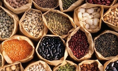 Насіння овочевих культур: що повинен знати покупець