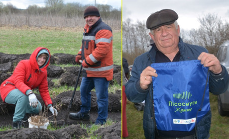 У Студениківській громаді завдяки благодійникам висадили ще одну лісосмугу довжиною 700 метрів