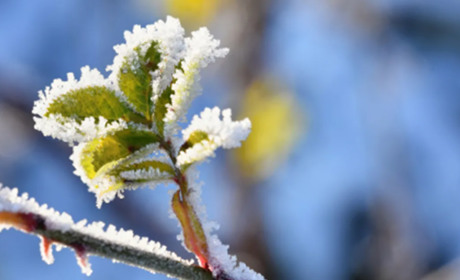 Квітневі погодні викрутаси...
