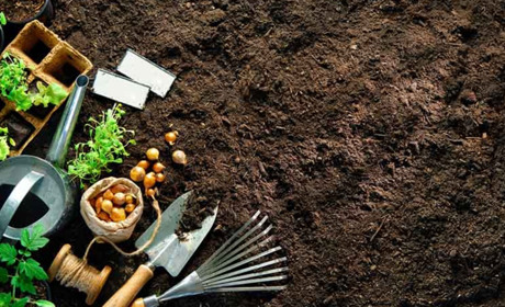 Місячний посівний календар на квітень 2026: сприятливі дні та поради для щедрого врожаю