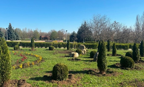 У Південноукраїнську оновлюють міський парк: висадили туї, сакури, модрини