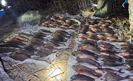 На Полтавщині затримали браконьєрів із 150 кг риби. Збитки — понад 900 тисяч гривень