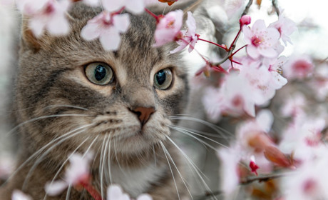 Погода на лівобережжі Херсонщини з 11 по 13 квітня: прогноз Українського гідрометеоцентру