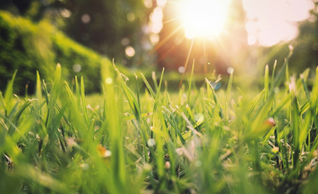 Якою буде погода цього тижня у Гадячі та коли потеплішає до +16°C