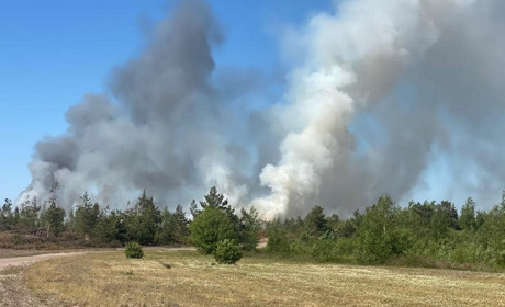 Пожежі в екосистемах Полтавщини: 105 випадків з початку року