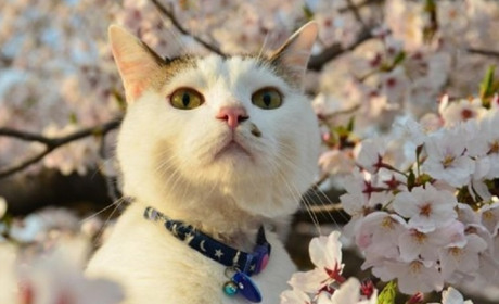 Погода на лівобережжі Херсонщини з 14 по 16 квітня: прогноз Українського гідрометеоцентру