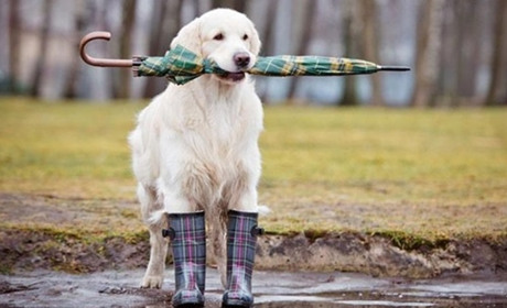 Прогноз погоди на 15-19 квітня по Чернігівщині