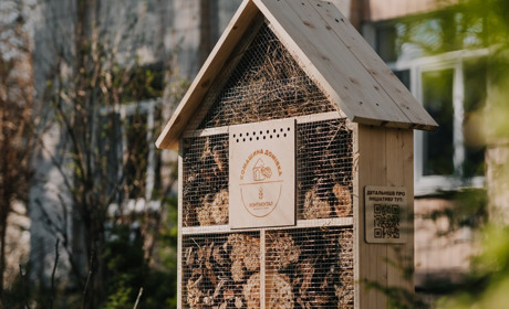 Екоініціатива «Контінентал»: компанія облаштовує спеціальні зони для комах