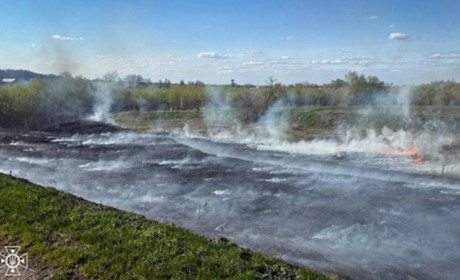 За добу на Черкащині вигоріло понад 7 гектарів сухостою: рятувальники ліквідували численні пожежі