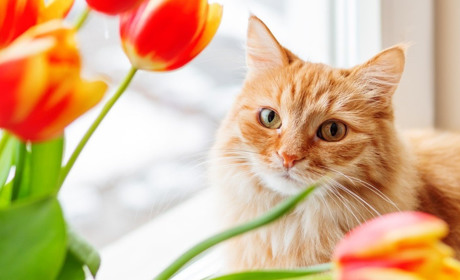 Погода на лівобережжі Херсонщини з 17 по 19 квітня: прогноз Українського гідрометеоцентру