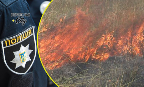 На вулиці Музейній у Переяславі горів луг, вогонь підійшов до будинків: хроніка поліції