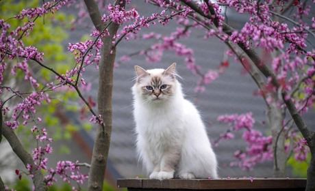 Погода на лівобережжі Херсонщини з 20 по 22 квітня: прогноз Українського гідрометеоцентру