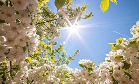 Південноукраїнська весна з характером: повний розклад дощів, вітру та сонця на 20-26 квітня